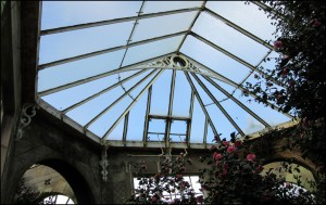 Roof Structure of Camellia House