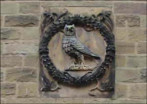 Savile Owl