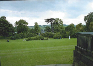 View across the grounds.